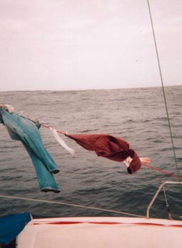 Sail.Laundry
