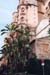 Cathed5